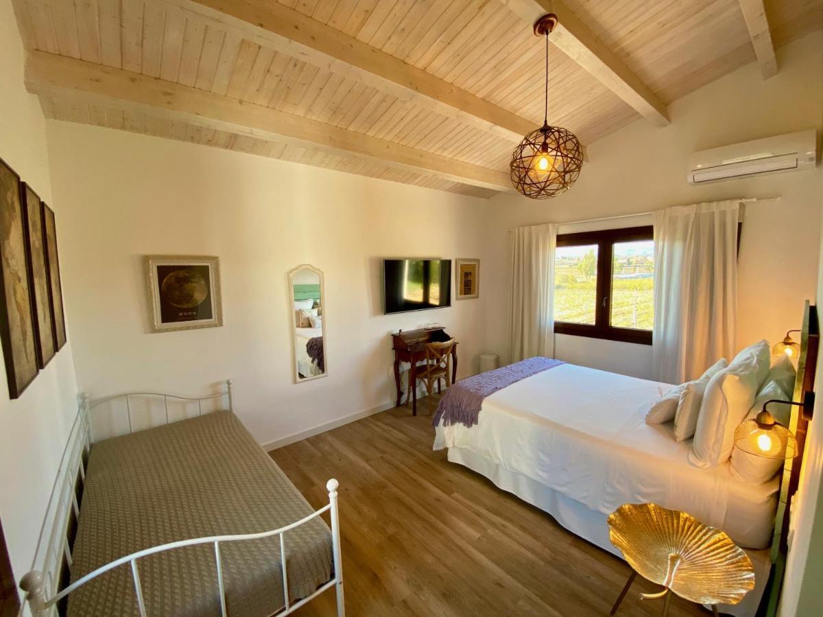 Bed & Breakfast Wine & Cooking Penedes Pla del Panades Bagian luar foto