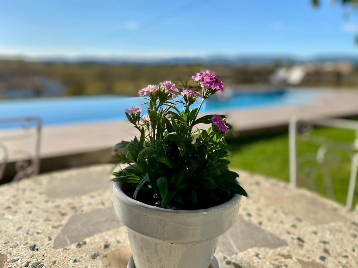 Bed & Breakfast Wine & Cooking Penedes Pla del Panades Bagian luar foto