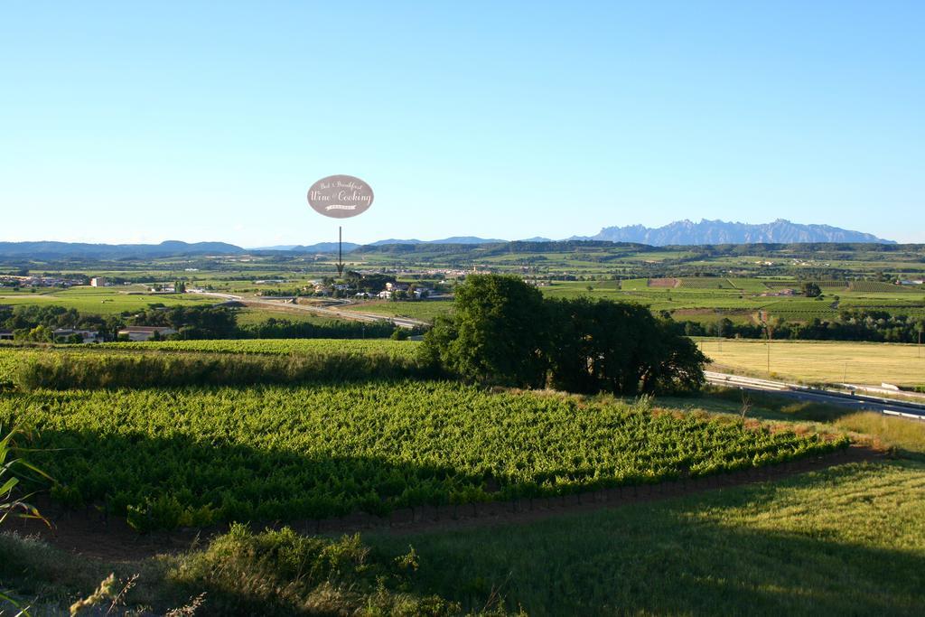 Bed & Breakfast Wine & Cooking Penedes Pla del Panades Bagian luar foto